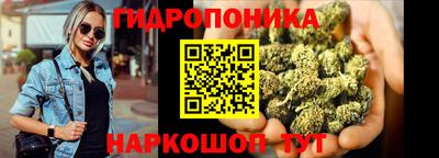 spice Обь