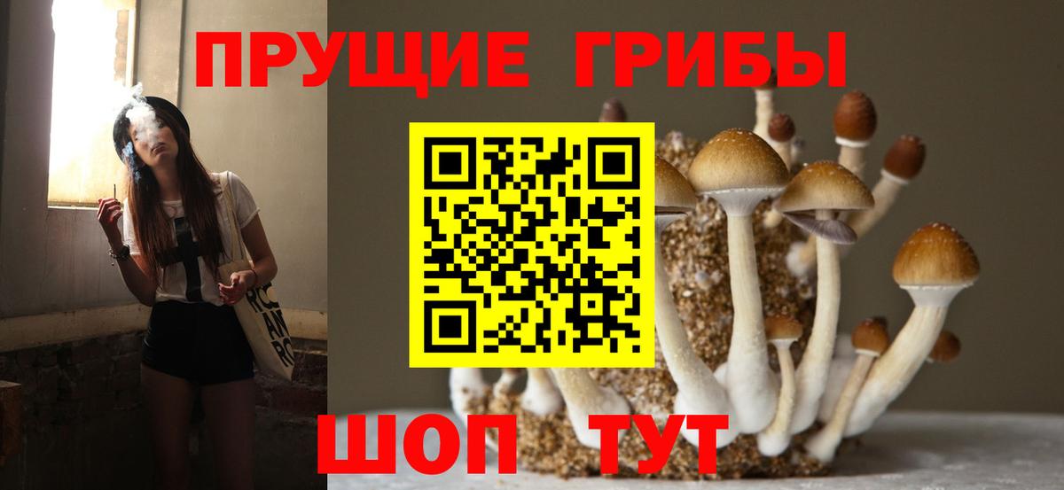Псилоцибиновые грибы прущие грибы  Галлюциногенные грибы Magic Shrooms  Скопин  Вход с VPN 